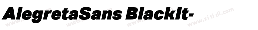 AlegretaSans BlackIt字体转换